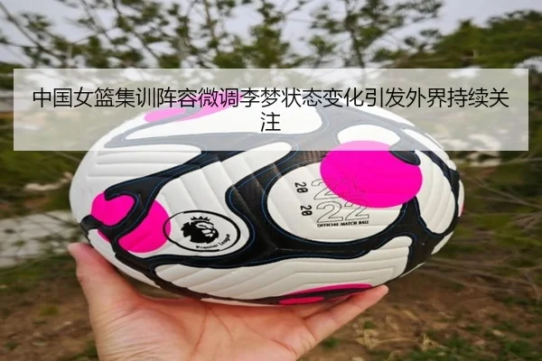 中国女篮集训阵容微调李梦状态变化引发外界持续关注